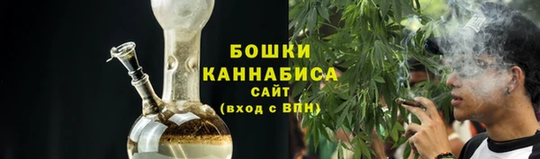 ПСИЛОЦИБИНОВЫЕ ГРИБЫ Абаза