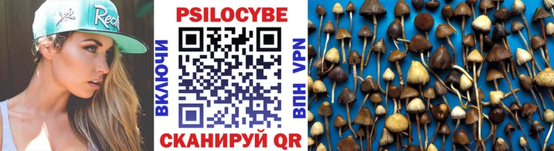 Псилоцибиновые грибы Psilocybine cubensis  Пугачёв 